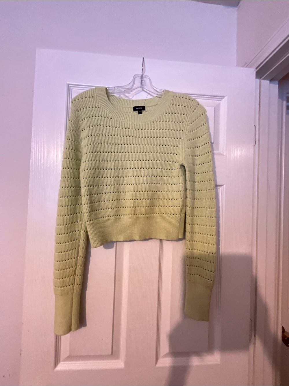 Express Light Green Open-Knit Cropped Sweater